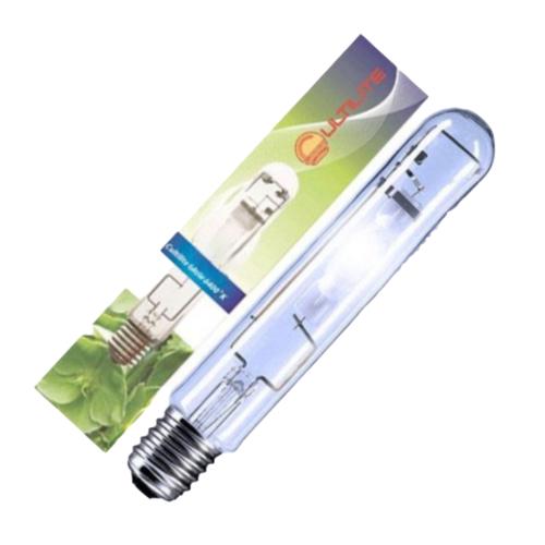 Cultilite MH Lamp Bulb - 250 W