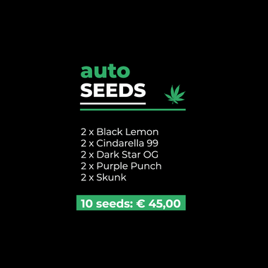 Auto Seeds Mix