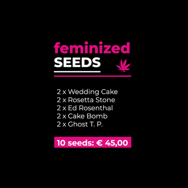 Feminized Seeds Mix